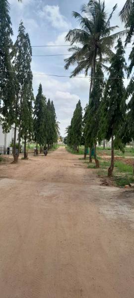  cosmo Internal Roads & Footpaths