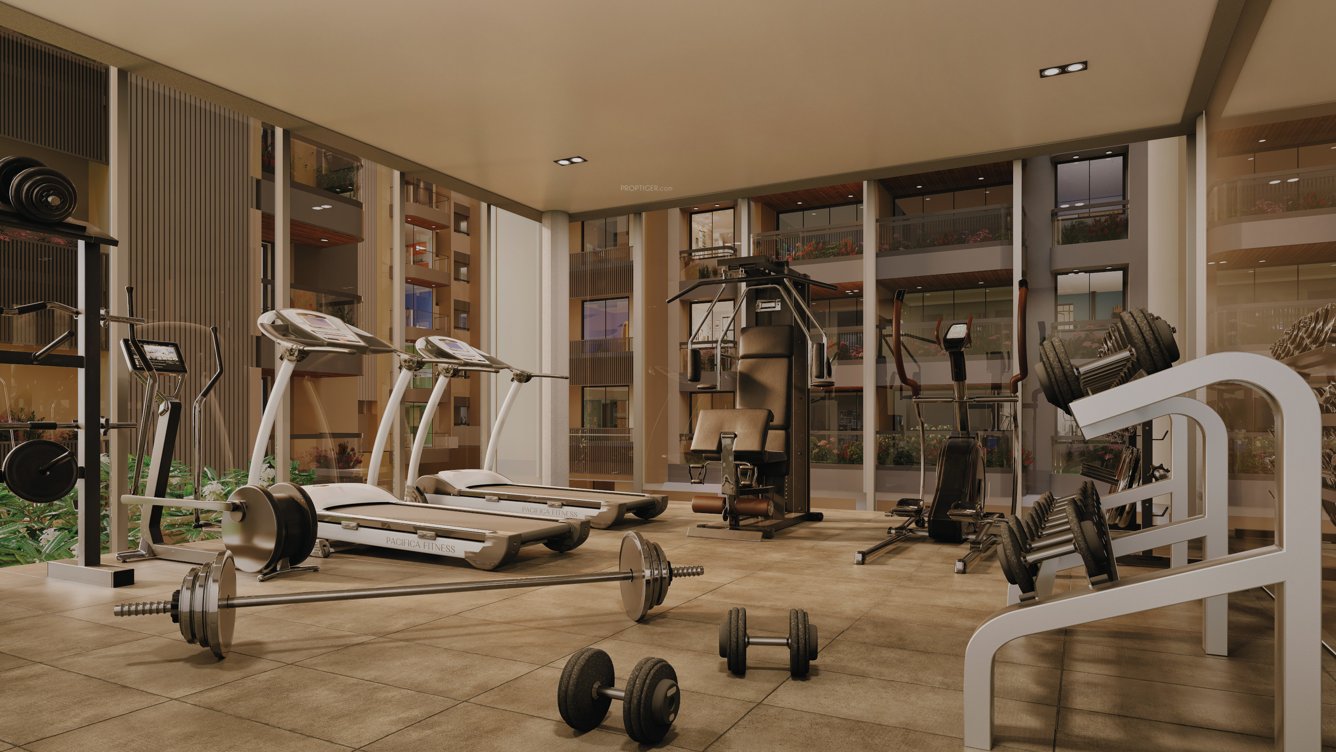  brij azalea Gymnasium