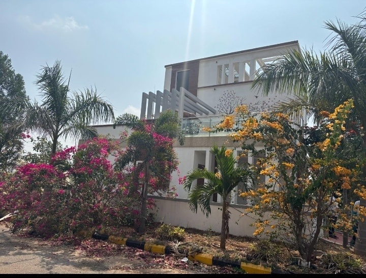  green rich homes Elevation