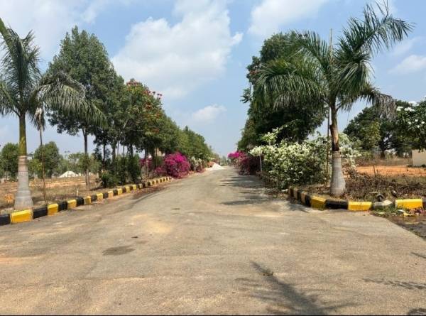  green-rich-homes Others