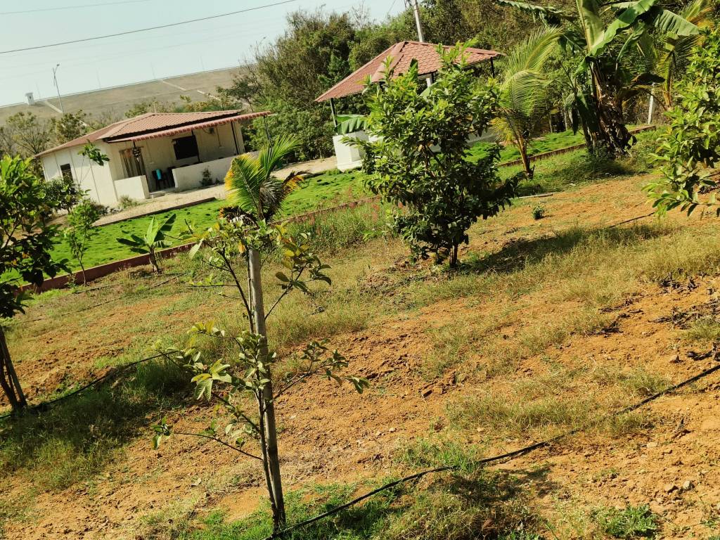  mahalakshmi s nandanam Plot
