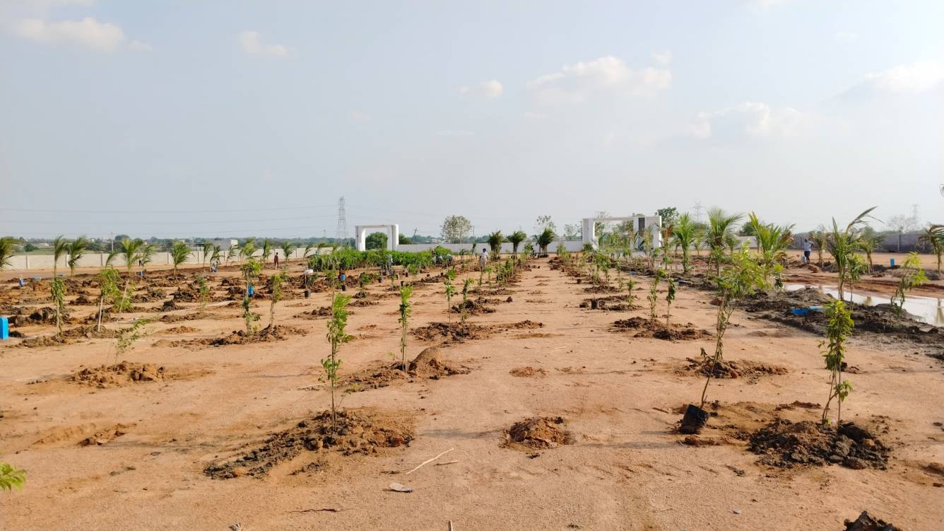  mahalakshmi s nandanam Plot