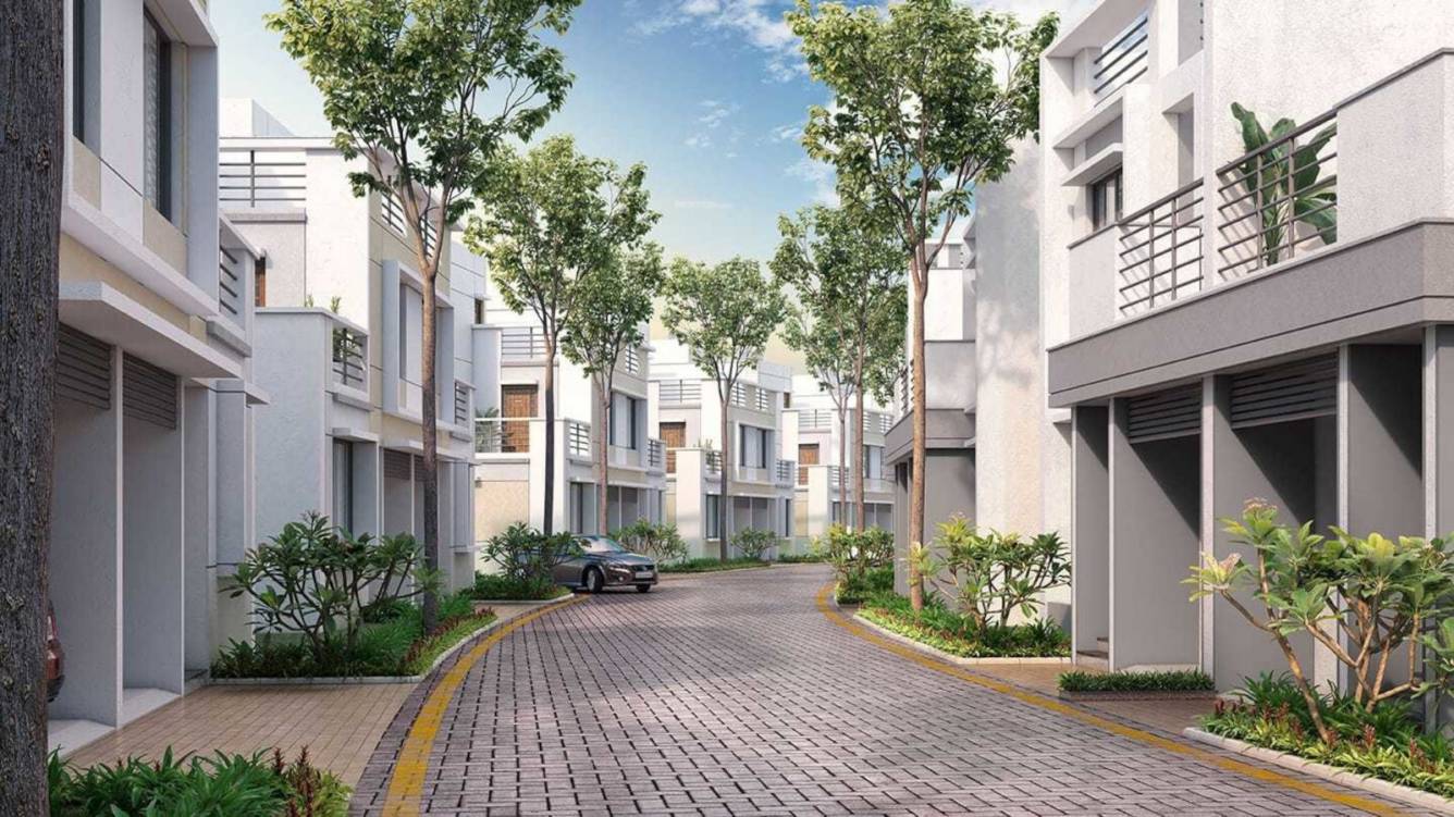 the strand 2 renaissance Internal Roads