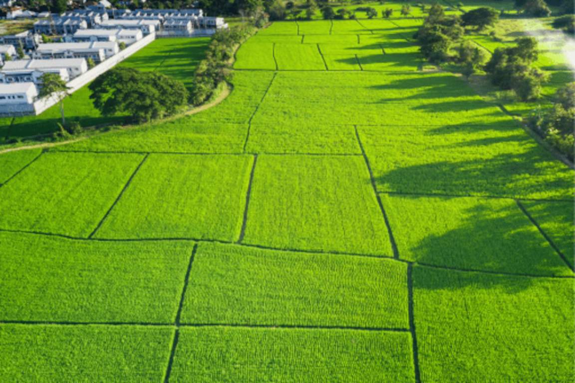  golf side estate Plot