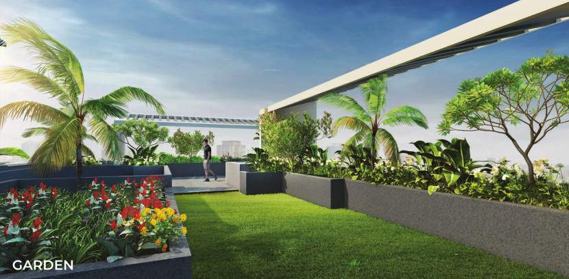  platinum city light Landscape Garden and Tree Planting