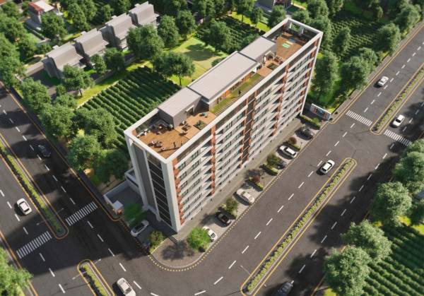 Elevation coral-43 Elevation