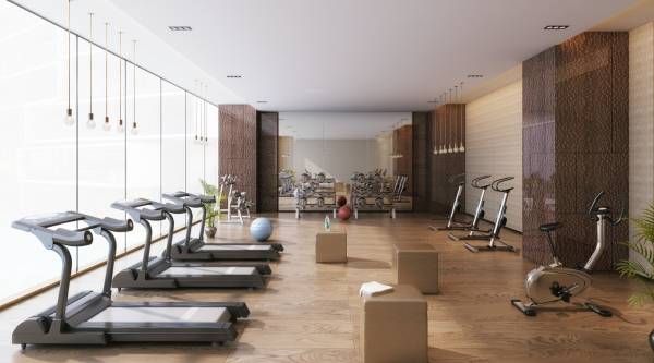 Gymnasium alchemy Gymnasium