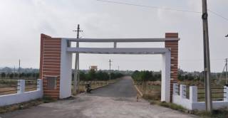 Project Image Project Image