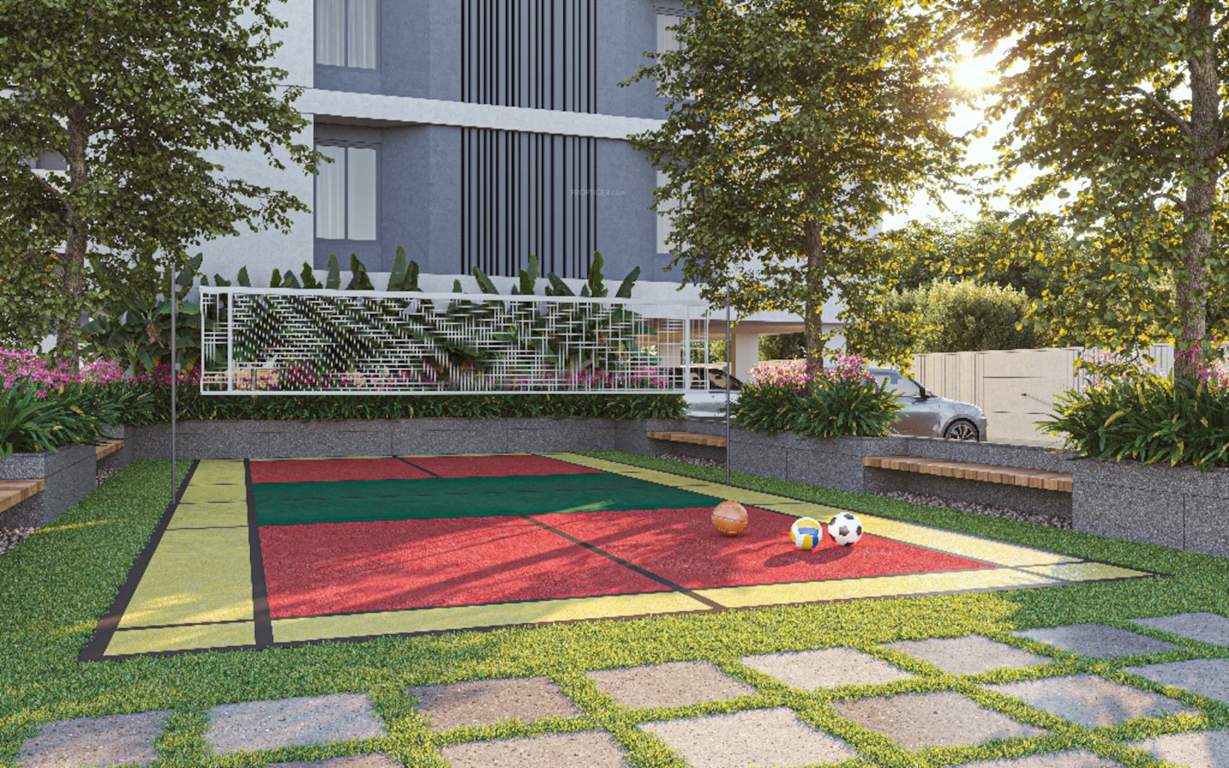  signus Volleyball Court