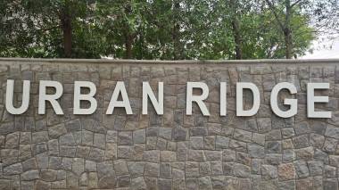 Elevation urban-ridge Elevation