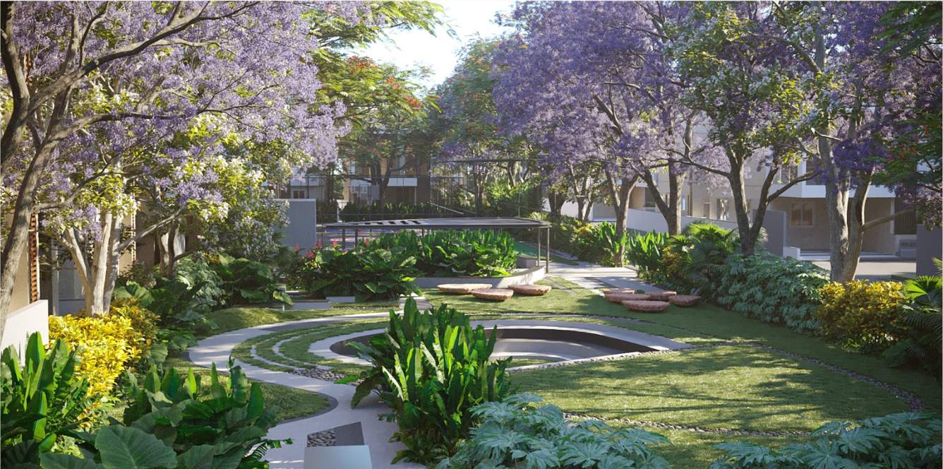 floresta Landscape Garden and Tree Planting
