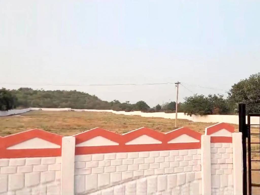 Elevation  golden valley Elevation