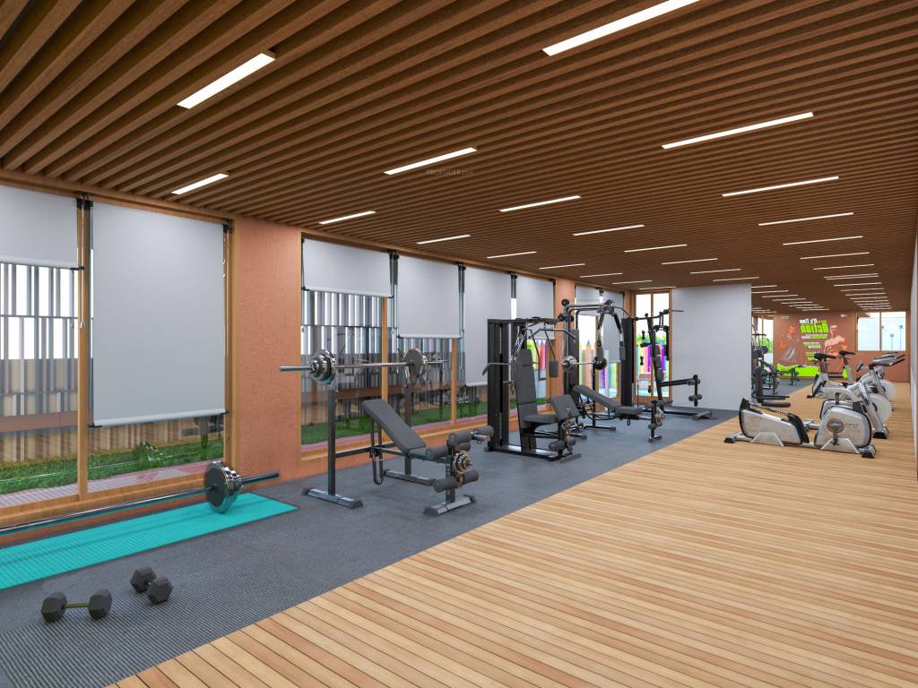  prism city Gymnasium