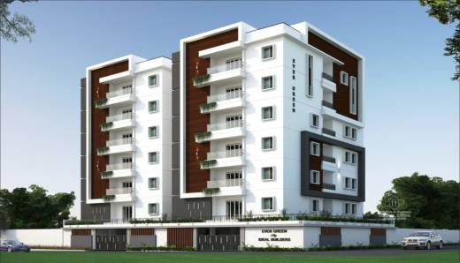 ever-green Elevation Elevation