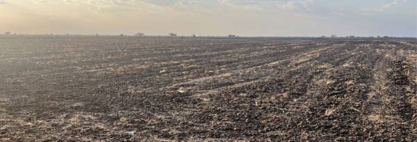  bliss-grandeur-2 Elevation