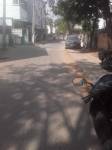  friends-nagar Internal Roads & Footpaths