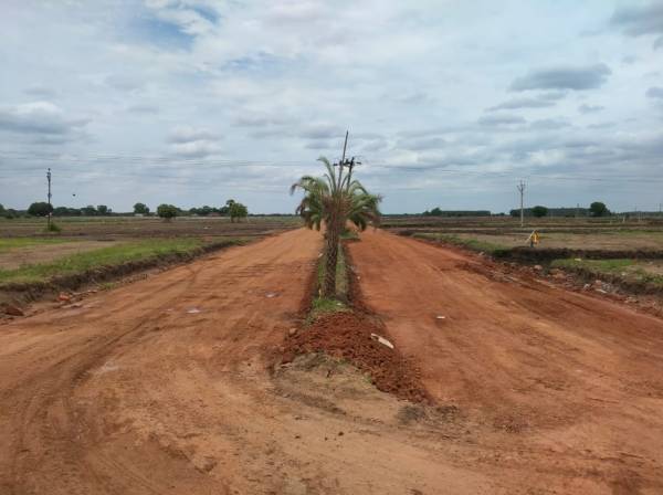 Elevation growth-city-phase-iic Elevation