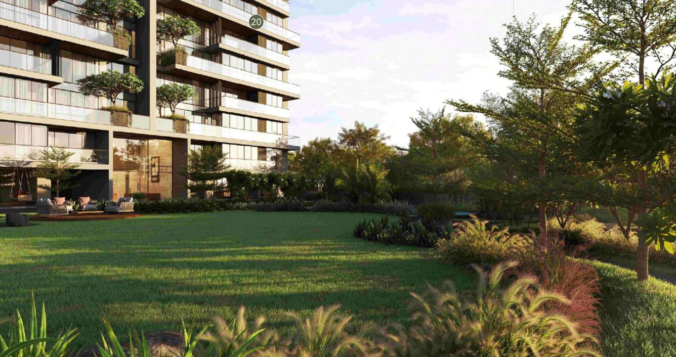  the grasslands Landscape Garden and Tree Planting