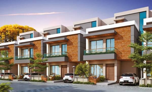 Elevation villa Elevation