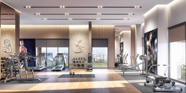  codename-the-exclusives Gymnasium