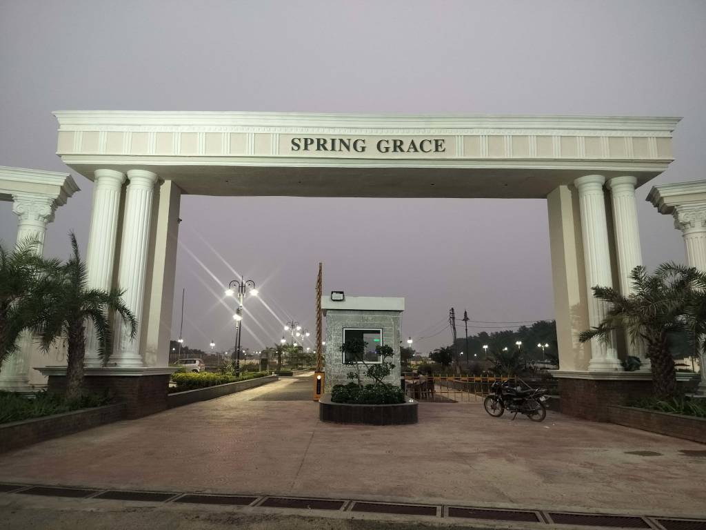  spring grace Elevation