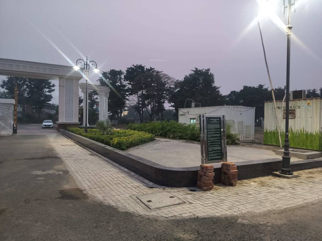  spring grace Elevation