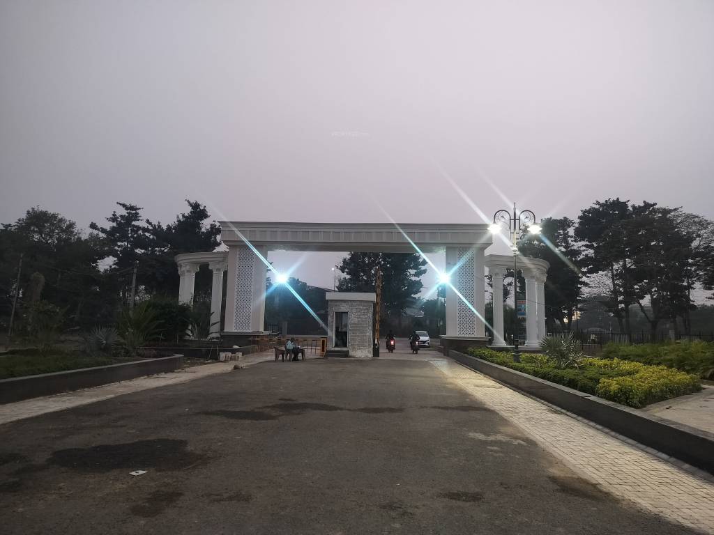  spring grace Elevation