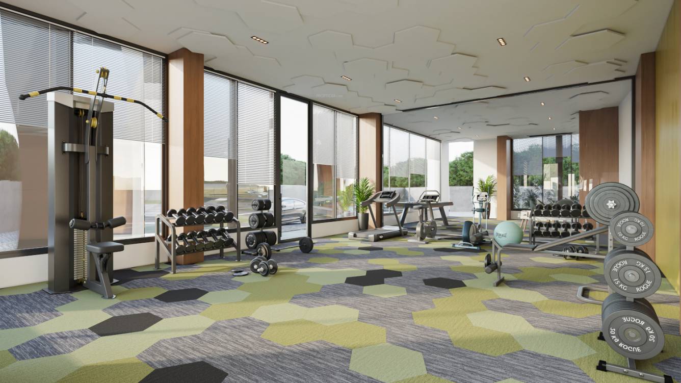  sp epitome Gymnasium