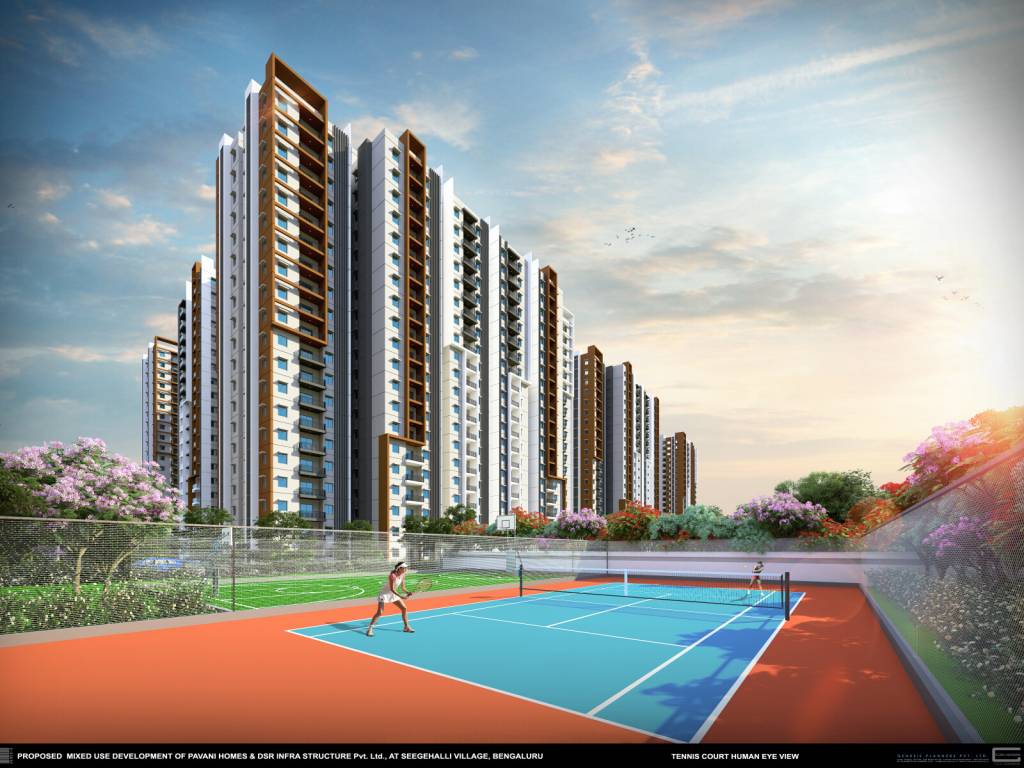  pavani mirabilia Others