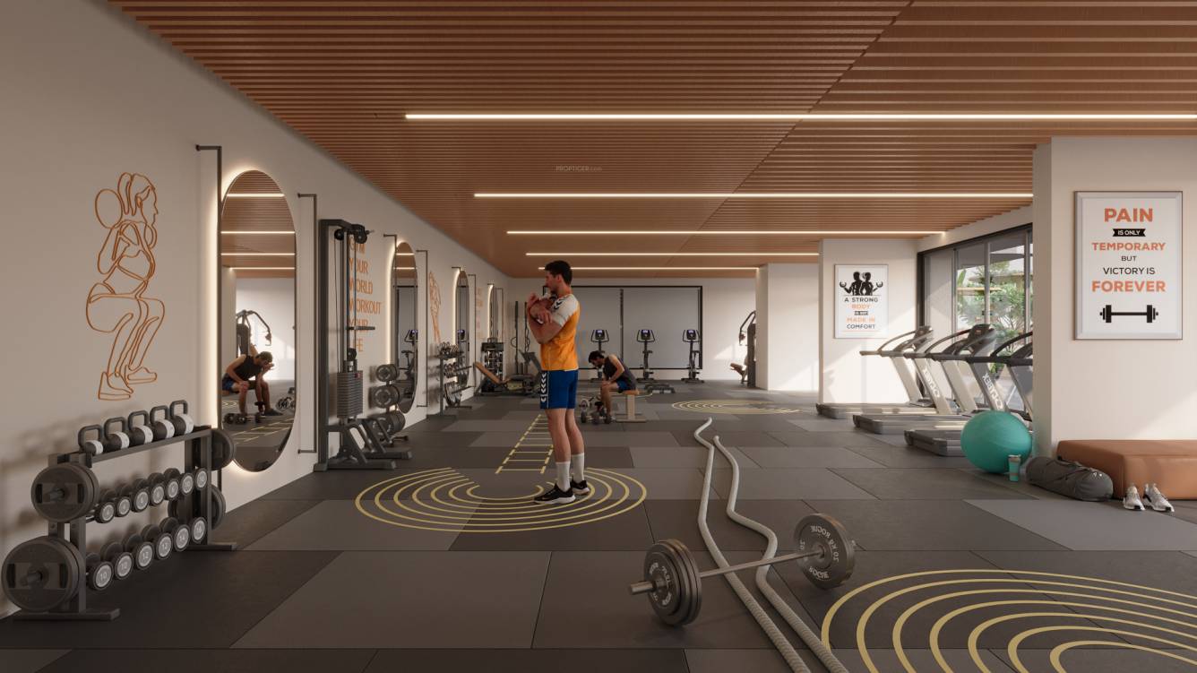 the prime trinity Gymnasium