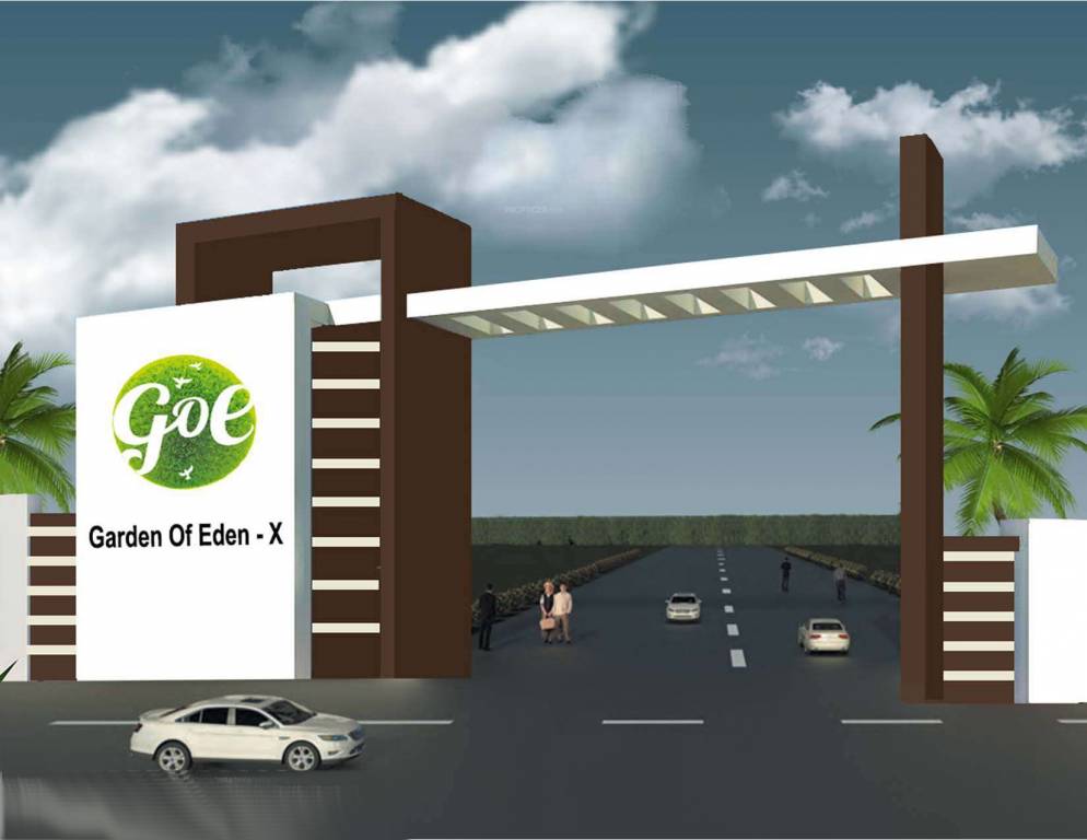 Elevation garden of eden x Elevation