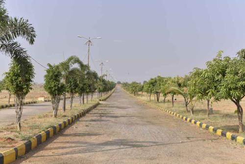  garden-of-eden-x Internal Roads