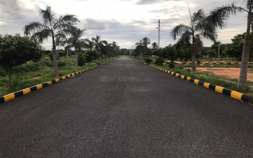  garden-of-eden-x Internal Roads