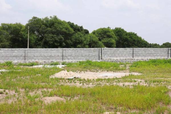  raj-sai-elite Elevation