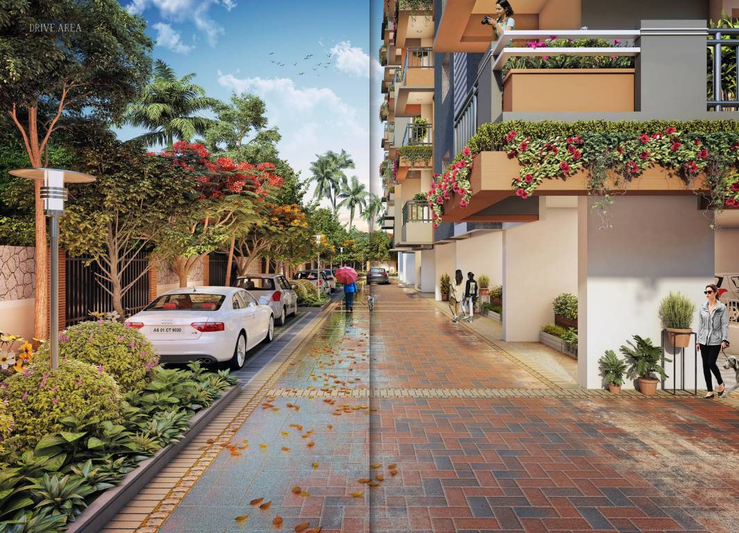  divine bliss Internal Roads