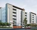 Legalas Doyen Ascent Flamingo C Block