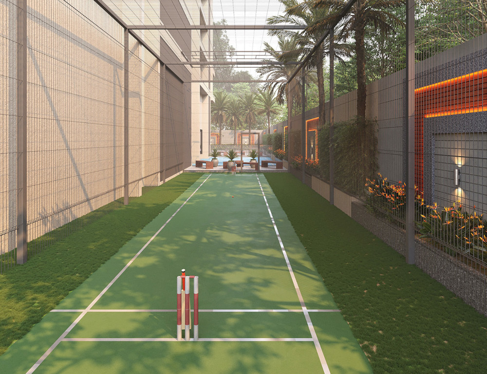  evana Cricket Pitch