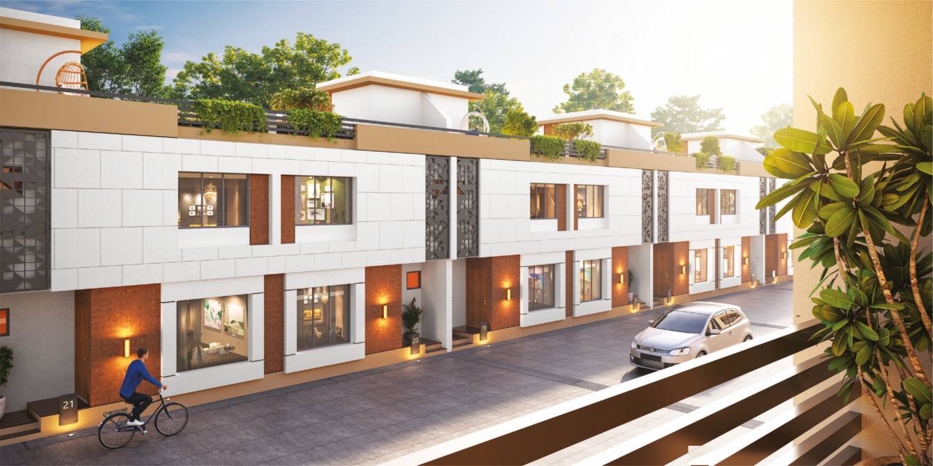 spring blossom Elevation