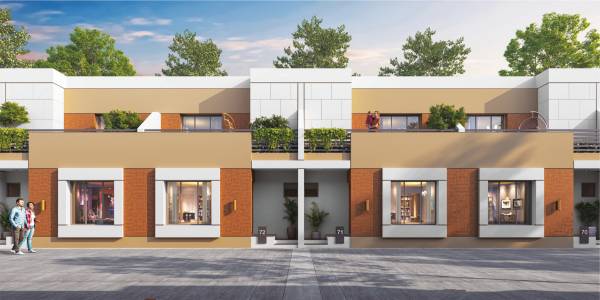 Elevation spring-blossom Elevation