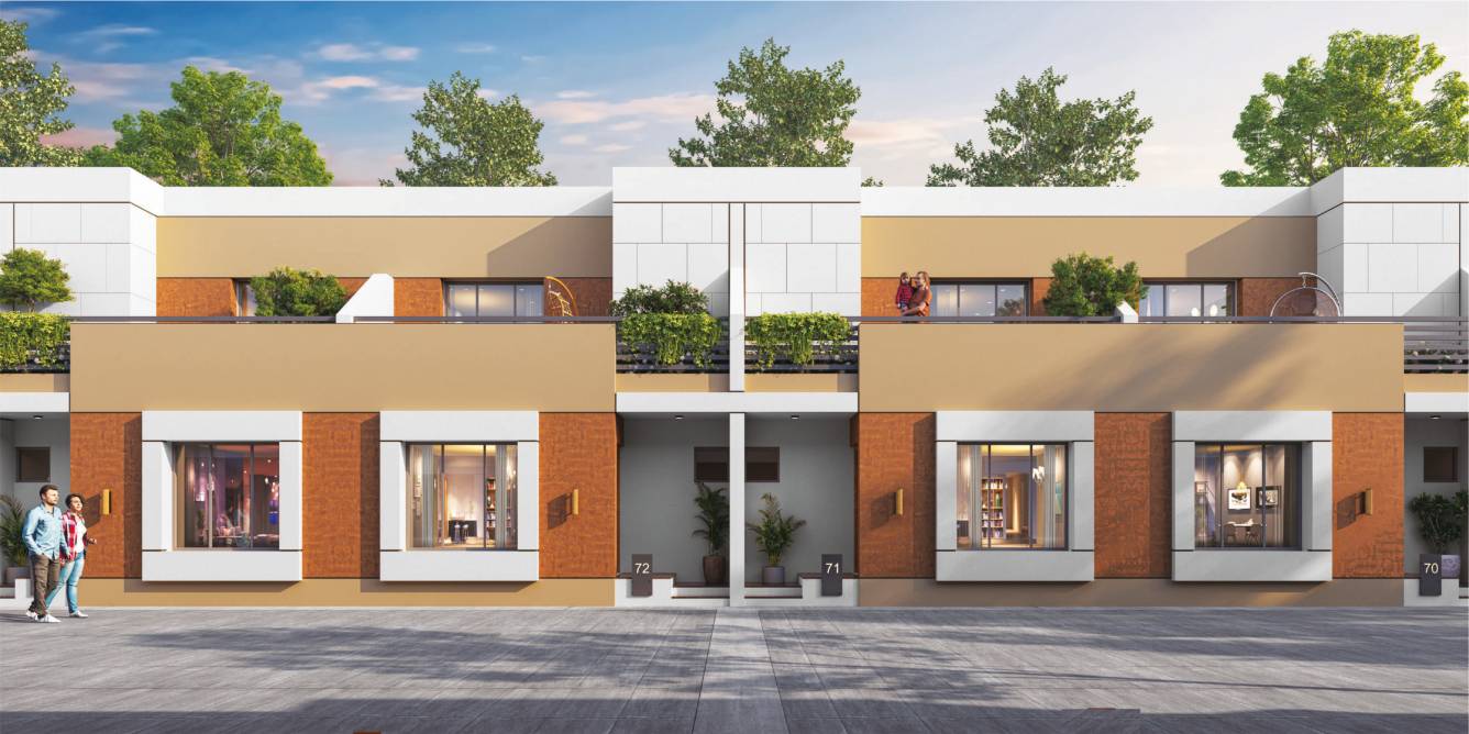 Elevation spring blossom Elevation