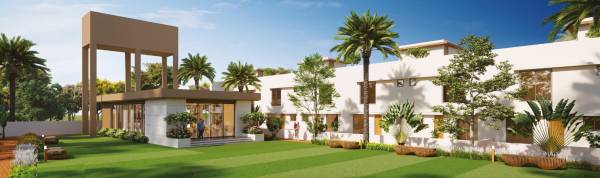  spring-blossom Others