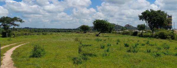  renuka-highway-city Elevation