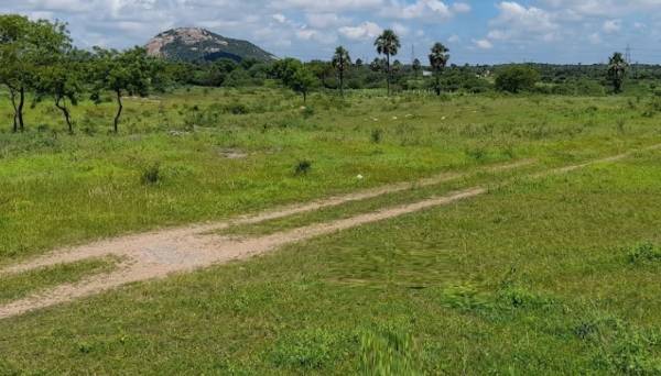  renuka-highway-city Plot