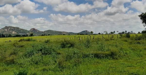  renuka-highway-city Plot