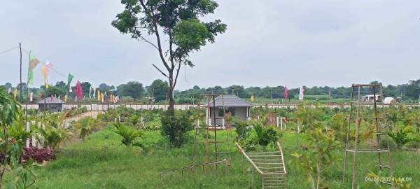  farm Plot