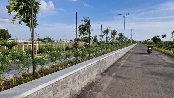  vasudha-phase-ii Plot