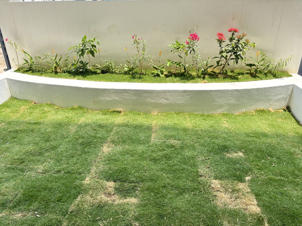  thimu king court Others