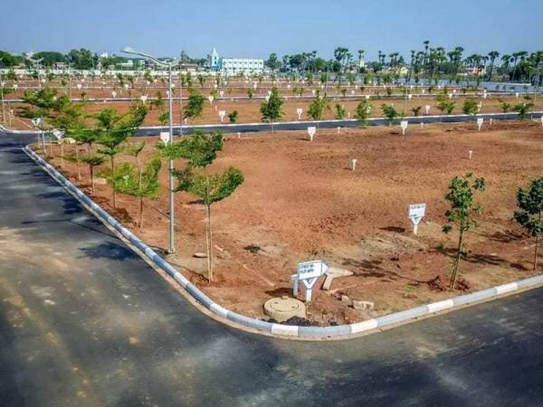  biophilic-village Plot