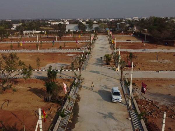  biophilic-village Plot