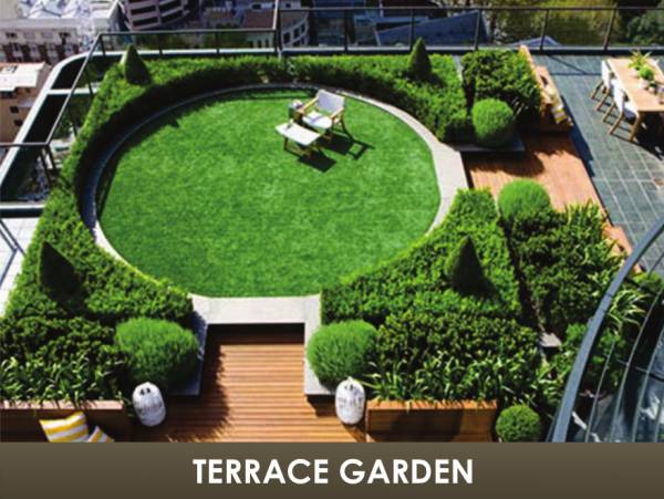  prime Terrace Garden